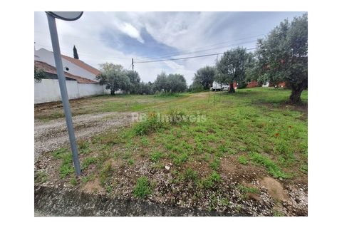 Helårsgrund i Tomar, Santarem, Tomar - € 75.000 | Ref: 01490-25 - foto 10