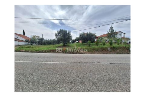 Helårsgrund i Tomar, Santarem, Tomar - € 75.000 | Ref: 01490-25 - foto 2