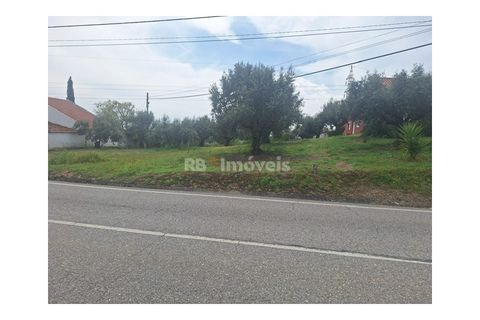 Helårsgrund i Tomar, Santarem, Tomar - € 75.000 | Ref: 01490-25 - foto 18