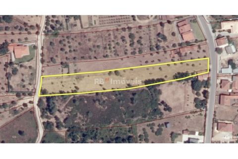 Helårsgrund i Tomar, Santarem, Tomar - € 75.000 | Ref: 01490-25 - foto 19