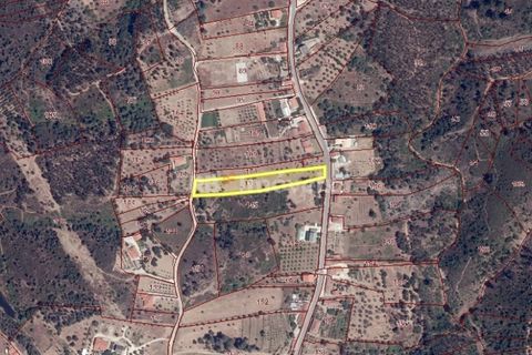 Helårsgrund i Tomar, Santarem, Tomar - € 75.000 | Ref: 01490-25 - foto 4