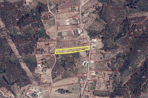 Helårsgrund i Tomar, Santarem, Tomar - € 75.000 | Ref: 01490-25 - foto 22