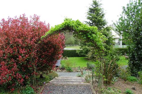 Villa a Callac, Cotes-d'Armor, Callac - € 166.000 | Ref: JD-4696 - foto 18