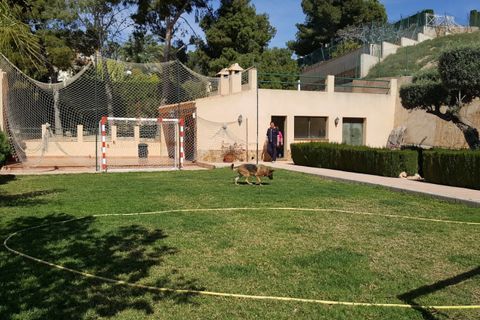 Landejendom i Elche, Alicante, Elche - € 600.000 | Ref: COL-84172 - foto 4