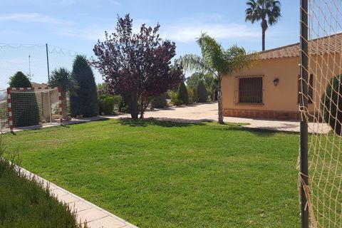 Landejendom i Elche, Alicante, Elche - € 600.000 | Ref: COL-84172 - foto 5