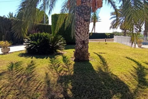 Landejendom i Elche, Alicante, Elche - € 549.000 | Ref: COL-38586 - foto 3