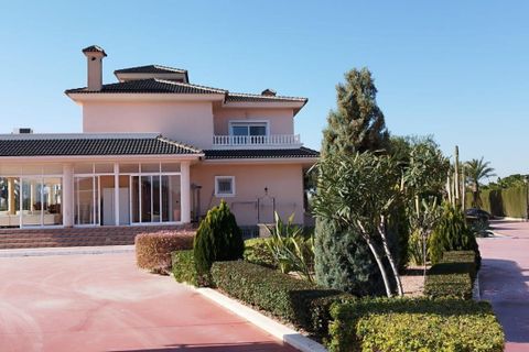 Landejendom i Elche, Alicante, Elche - € 950.000 | Ref: COL-19383 - foto 3