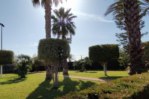 Landejendom i Elche, Alicante, Elche - € 950.000 | Ref: COL-19383 - foto 5