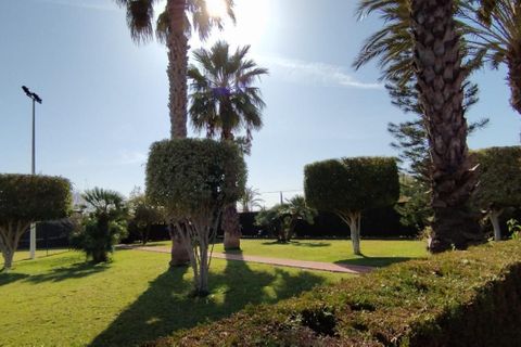Landejendom i Elche, Alicante, Elche - € 950.000 | Ref: COL-19383 - foto 8