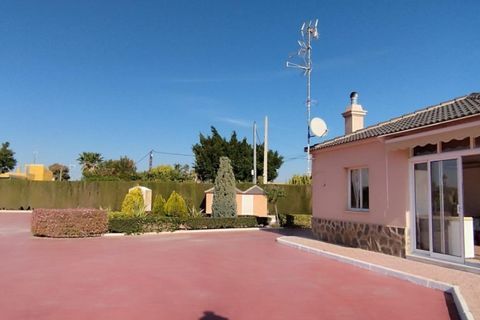 Landejendom i Elche, Alicante, Elche - € 950.000 | Ref: COL-19383 - foto 21