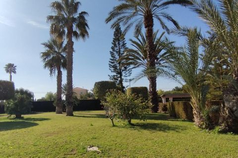 Landejendom i Elche, Alicante, Elche - € 950.000 | Ref: COL-19383 - foto 22