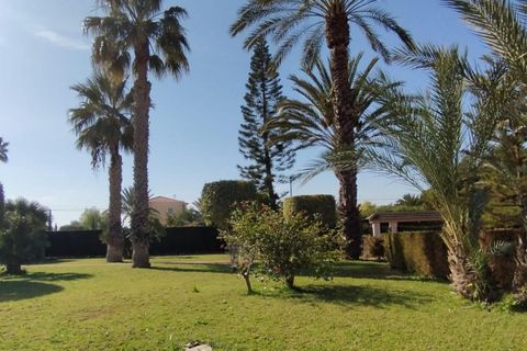 Landejendom i Elche, Alicante, Elche - € 950.000 | Ref: COL-19383 - foto 23