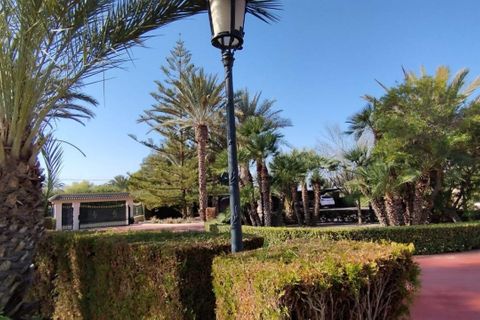Landejendom i Elche, Alicante, Elche - € 950.000 | Ref: COL-19383 - foto 24