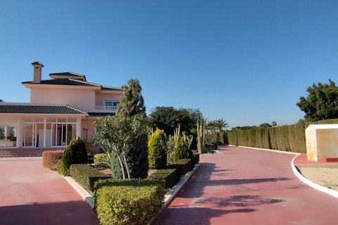 Landejendom i Elche, Alicante, Elche - € 950.000 | Ref: COL-19383 - foto 29
