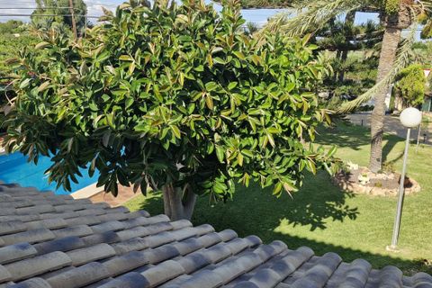 Landejendom i Elche, Alicante, Elche - € 735.000 | Ref: COL-22678 - foto 4