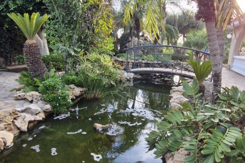Landejendom i Elche, Alicante, Elche - € 735.000 | Ref: COL-22678 - foto 8