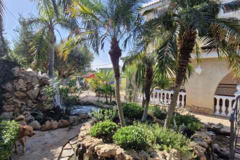 Landejendom i Elche, Alicante, Elche - € 735.000 | Ref: COL-22678 - foto 9