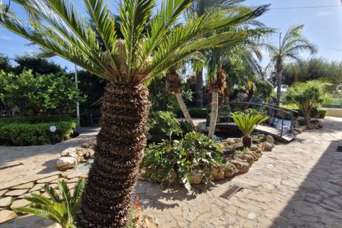 Landejendom i Elche, Alicante, Elche - € 735.000 | Ref: COL-22678 - foto 12