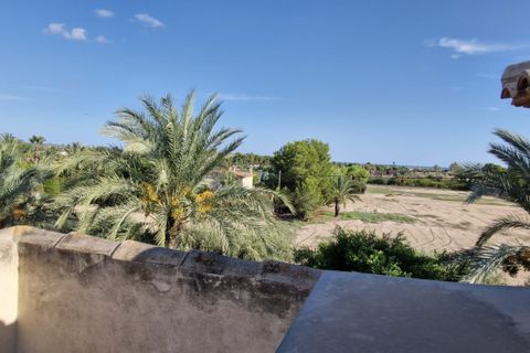 Landejendom i Elche, Alicante, Elche - € 735.000 | Ref: COL-22678 - foto 15