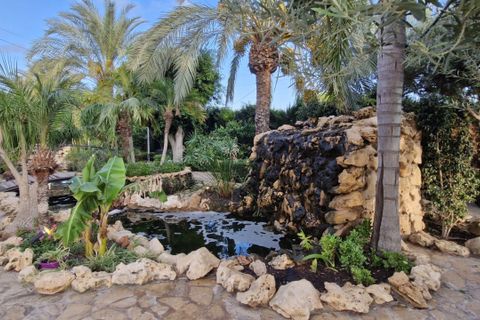 Landejendom i Elche, Alicante, Elche - € 735.000 | Ref: COL-22678 - foto 18