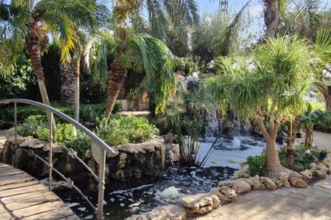 Landejendom i Elche, Alicante, Elche - € 735.000 | Ref: COL-22678 - foto 19
