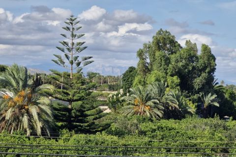Landejendom i Elche, Alicante, Elche - € 735.000 | Ref: COL-22678 - foto 21
