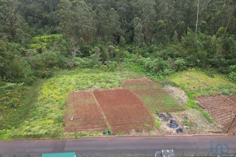 Tomt i Santana, Madeira, Santana - € 125 000 | Ref: 140376 - foto 4