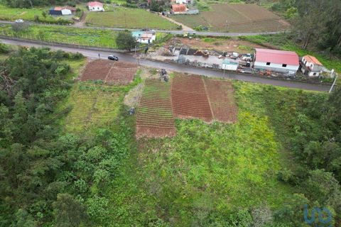Tomt i Santana, Madeira, Santana - € 125 000 | Ref: 140376 - foto 5