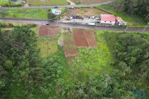 Tomt i Santana, Madeira, Santana - € 125 000 | Ref: 140376 - foto 7