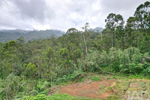 Tomt i Santana, Madeira, Santana - € 125 000 | Ref: 140376 - foto 20
