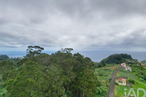 Tomt i Santana, Madeira, Santana - € 125 000 | Ref: 140376 - foto 22