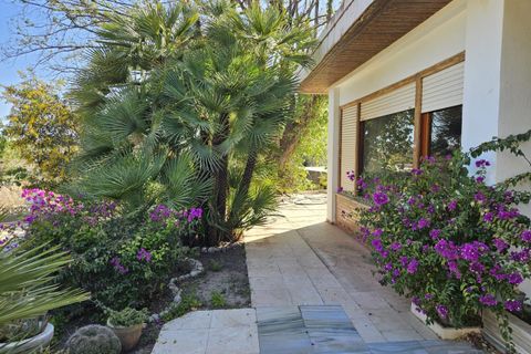 Landejendom i Novelda, Alicante, Novelda - € 549.000 | Ref: COL-56331 - foto 3