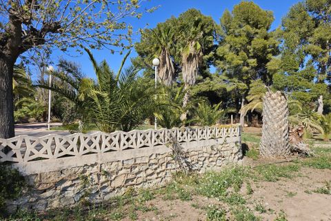 Landejendom i Novelda, Alicante, Novelda - € 549.000 | Ref: COL-56331 - foto 5