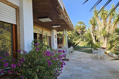 Landejendom i Novelda, Alicante, Novelda - € 549.000 | Ref: COL-56331 - foto 16