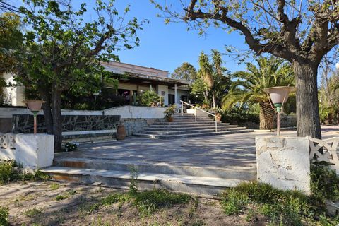 Landejendom i Novelda, Alicante, Novelda - € 549.000 | Ref: COL-56331 - foto 20
