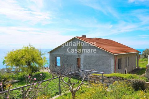 Villa i Cipressa, Imperia, Cipressa - € 490.000 | Ref: 6V19 - foto 1