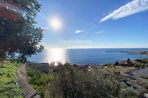 Helårsgrund i Cipressa, Imperia, Cipressa - € 240.000 | Ref: 6W03 - foto 1