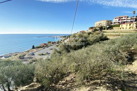 Helårsgrund i Cipressa, Imperia, Cipressa - € 240.000 | Ref: 6W03 - foto 5