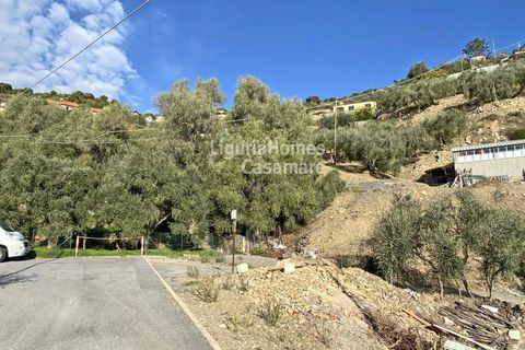 Helårsgrund i Cipressa, Imperia, Cipressa - € 240.000 | Ref: 6W03 - foto 8