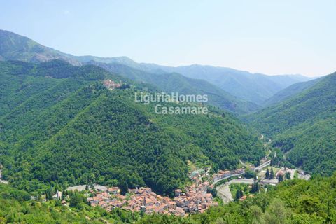 Villa i Triora, Imperia, Triora - € 95.000 | Ref: 7T07 - foto 5