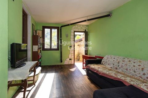 Villa a Taggia, Imperia, Taggia - € 490.000 | Ref: 7V07 - foto 5