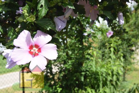 Villa a Argenta, Ferrara, Argenta - € 310.000 | Ref: 2011 - foto 20