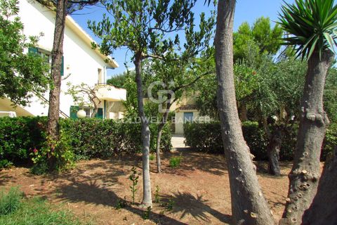 Villa i Sciacca, Agrigento, Sciacca - € 545.000 | Ref: CBI154-2206-15 - foto 7