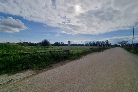 Helårsgrund i Sestu, Cagliari, Sestu - € 849.000 | Ref: GT51 - foto 1