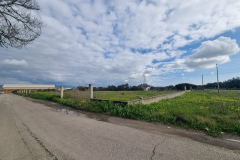Helårsgrund i Sestu, Cagliari, Sestu - € 849.000 | Ref: GT51 - foto 2