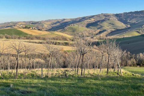 Villa i Castignano, Ascoli Piceno, Castignano - € 115.000 | Ref: v1713 - foto 5