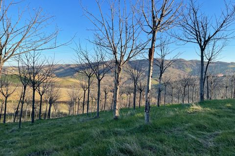 Villa i Castignano, Ascoli Piceno, Castignano - € 115.000 | Ref: v1713 - foto 19