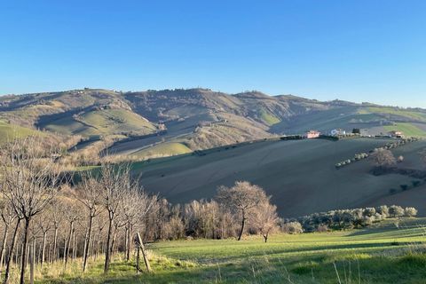 Villa i Castignano, Ascoli Piceno, Castignano - € 115.000 | Ref: v1713 - foto 20