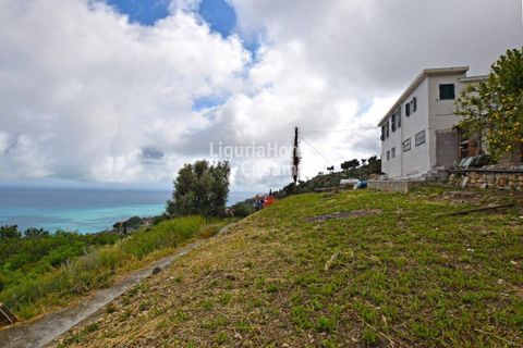 Villa i Ospedaletti, Imperia, Ospedaletti - € 295.000 | Ref: 1V41 - foto 1