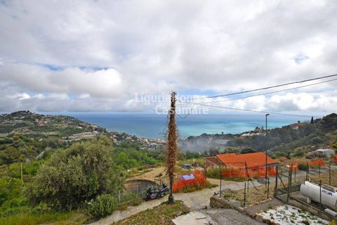 Villa i Ospedaletti, Imperia, Ospedaletti - € 295.000 | Ref: 1V41 - foto 2